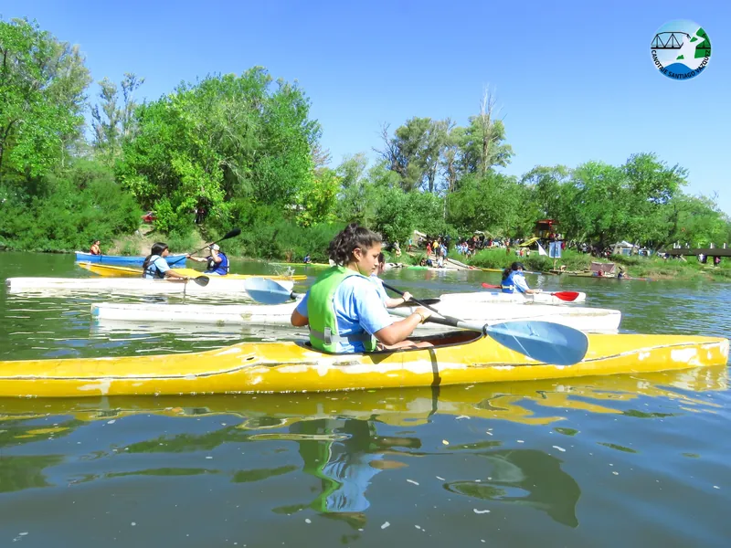 Regata - Participantes